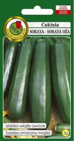 cukinia-sorya.JPG