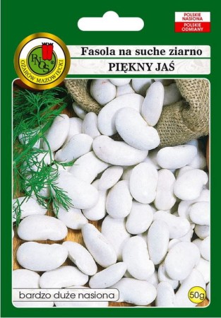 fasola-piekny-jas.JPG