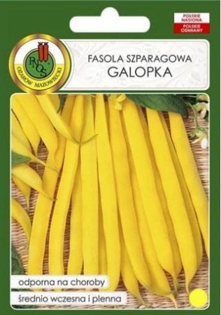galopka.JPG