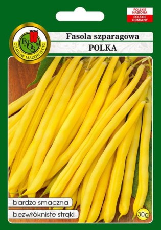 polka.JPG