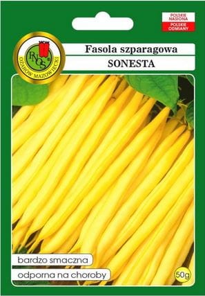 fasola-szparagowa-sonesta.JPG