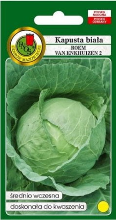 kapusta-biala.JPG