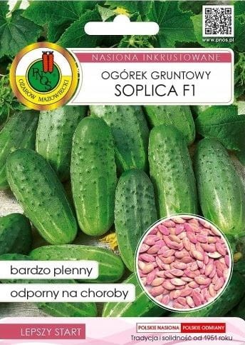 Przejdź do produktu Ogórek gruntowy Soplica F1 5 g nasiona inkrustowane Pnos