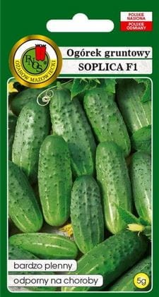 Przejdź do produktu Ogórek gruntowy Soplica ST 100 g F1 Pnos