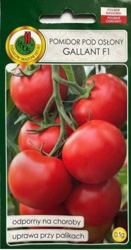 Przejdź do produktu Pomidor pod osłony Gallant F1 0,1 g Pnos