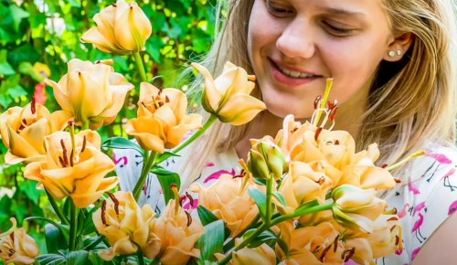 Przejdź do produktu Lilia pełna pomarańczowa Apricot Fudge 3szt