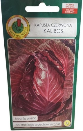 kapusta.JPG