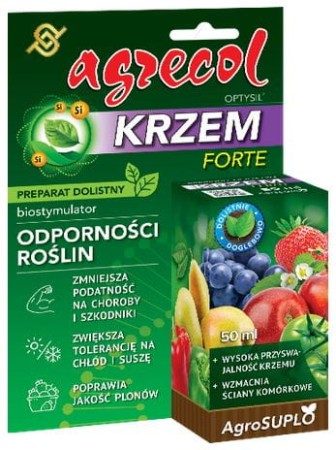 krzem-forte.JPG