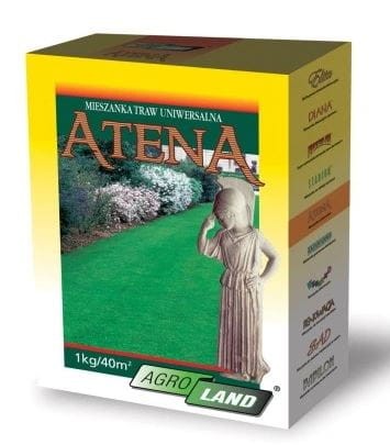 atena.JPG