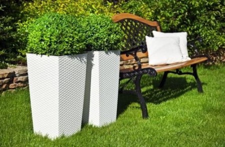 2.JPG