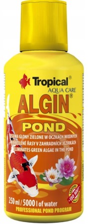 anty-glon-tropical.jpg