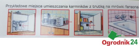 best trutka na mrówki2.jpg