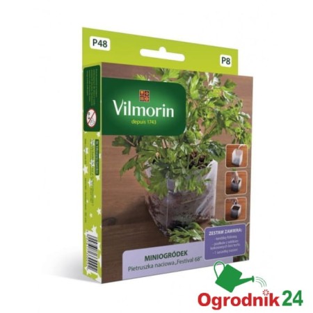 vil-miniogrodek-pietruszka-naciowa.jpg