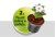 COMPO-SANA-DONICZKA-2W1-2.jpg