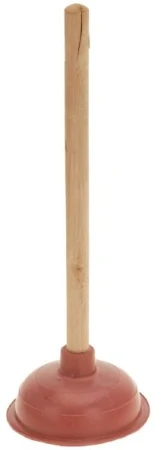 dvsdv.JPG
