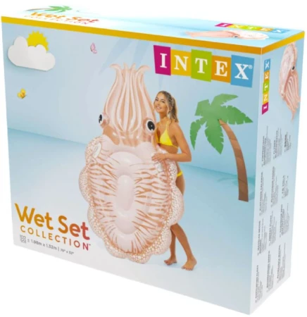 intex -58731.JPG