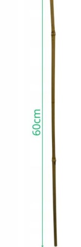 Przejdź do produktu Tyczki bambusowe 61 cm 10 szt 323116