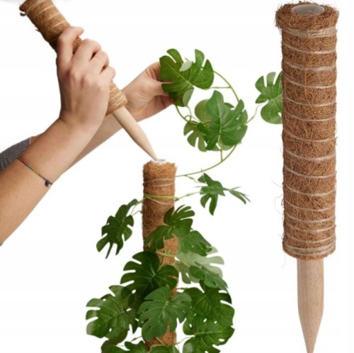 Przejdź do produktu Palik kokosowy 30 cm 716550