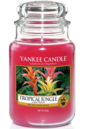 tropical-jungle-swieca-w-duzym-sloiku-yankee-candle.jpg