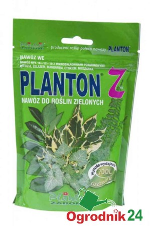 planton z.jpg