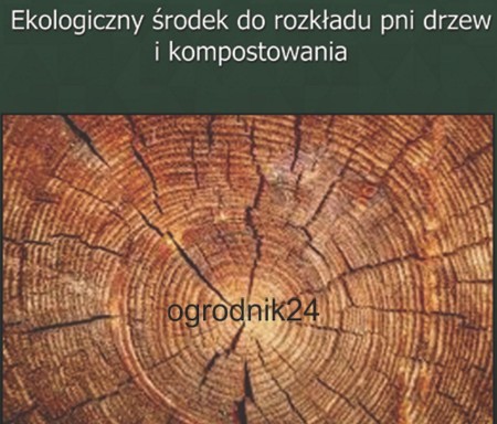 środek do rozkładu pni.jpg