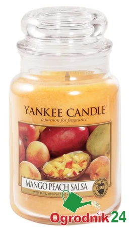 MANGO PEACH SALSA SŁOIK DUŻY OGRODNIK24.jpg