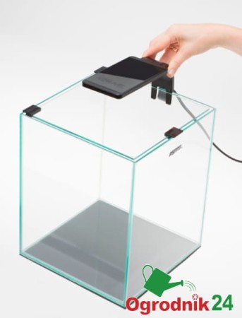 SHRIMP SET AKWARIUM 2.jpg