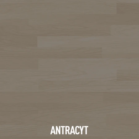 ANTRACYT.png