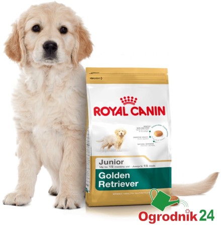 royal_canin_golden_retriever_junior_OGRODNIK24.jpg