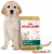 royal_canin_golden_retriever_junior_OGRODNIK24.jpg