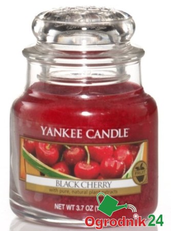 BLACK CHERRY SŁOIK MAŁY OGRODNIK24.jpg