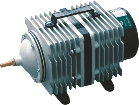 happet p109.jpg