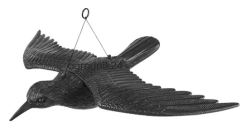 Przejdź do produktu BG731005 KRUK Z ROZPOZTARTYMI SKRZYDŁAMI ODSTRASZAJĄCY PTAKI W-WA