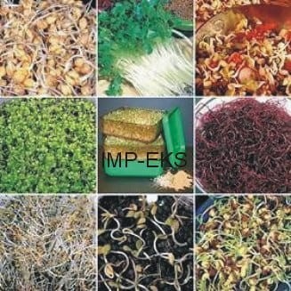Przejdź do produktu Kiełki antynowotworowe 12 opakowań do kiełkownicy