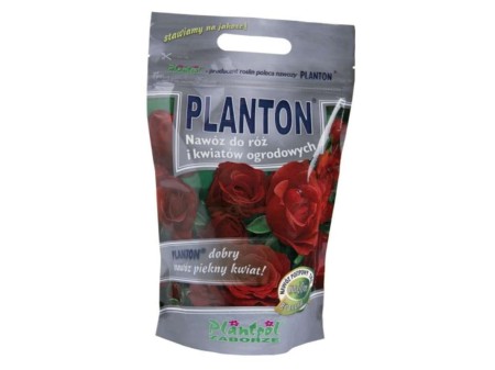 PLANTON-RÓŻA.jpg