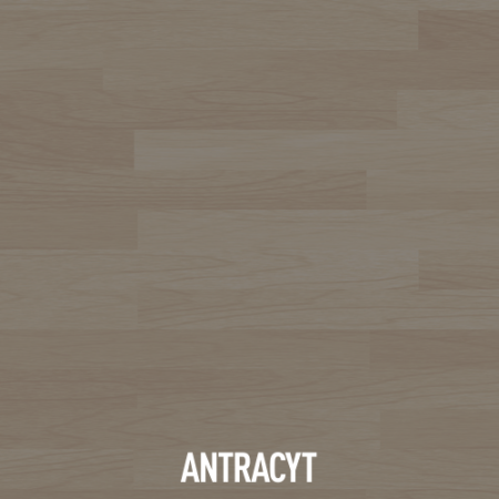 ANTRACYT.png