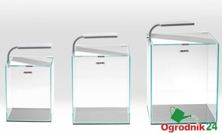 SHRIMP SET AKWARIUM.jpg