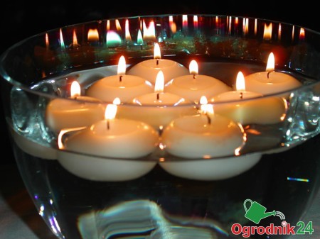 ŚWIECE PŁYWAJĄCE 20SZT OGRODNIK24 (2).jpg