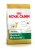 royal_canin_golden_retriever_junior.jpg