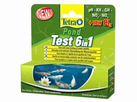 tetra6w1.jpg