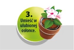 COMPO-SANA-DONICZKA-2W1-3.jpg