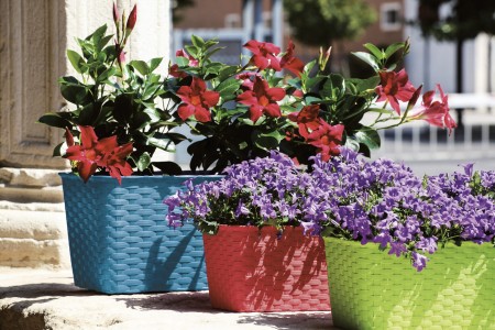 stefanplast-skrzynka-balkonowa-ratan-z-nawadnianiem-50cm-nawadnianie-3.jpg