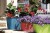 stefanplast-skrzynka-balkonowa-ratan-z-nawadnianiem-50cm-nawadnianie-3.jpg