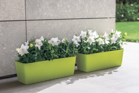 stefanplast-skrzynka-balkonowa-ratan-z-nawadnianiem-50cm-nawadnianie-2.jpg