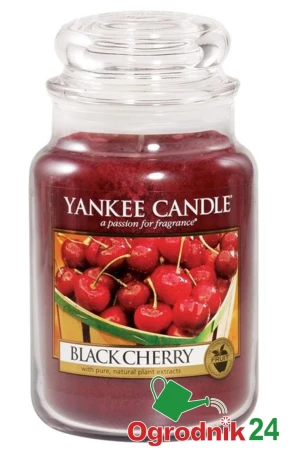 BLACK CHERRY SŁOIK DUŻY OGRODNIK24.jpg