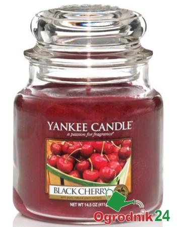 BLACK CHERRY SŁOIK ŚREDNI OGRODNIK24.jpg