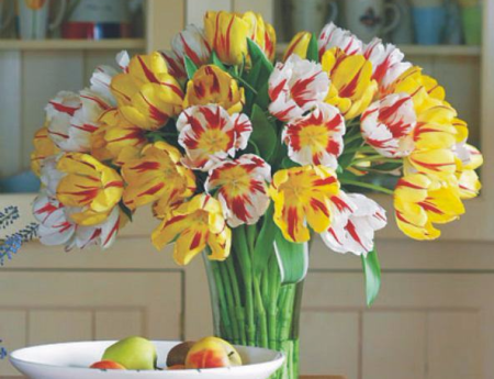 tulipany-zolte-czerwone-zestaw.jpg