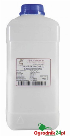 CHLOREKMAGNEZURB.jpg