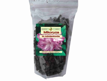mikoryza-do-rododendronow-azalii.jpg