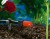 1391-Gardena-regulowany-kroplownik-koncowy-10szt-nawadnianie-micro-drip-system-3.jpg